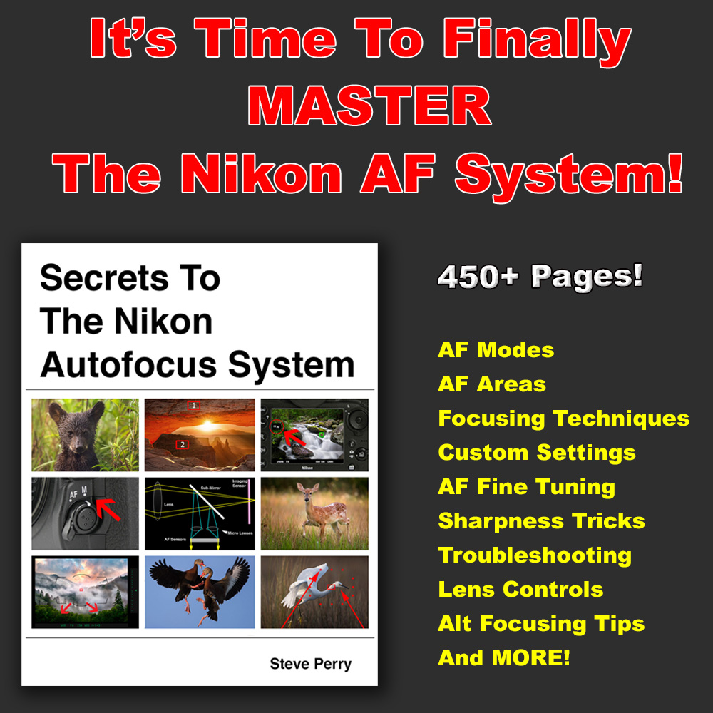 Secrets To The Nikon Autofocus System: DSLR Edition – Backcountry Gallery  Web Store