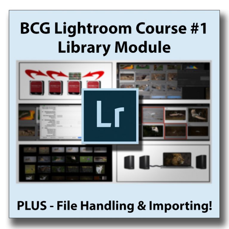 BCG Lightroom Course 1: The Library Module, File Handling, Importing ...