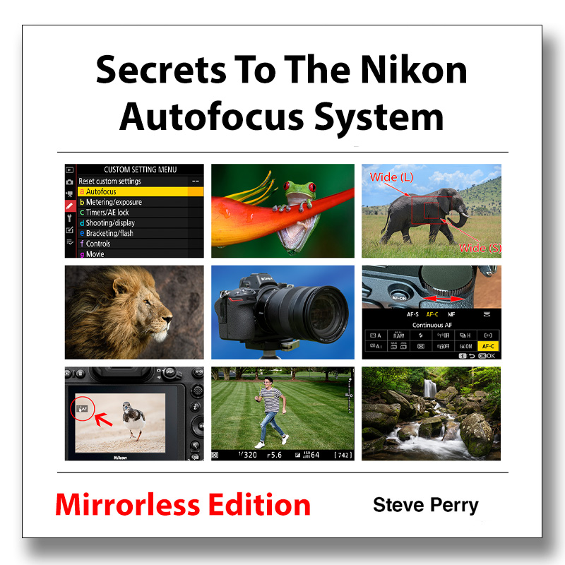 Secrets To The Nikon Autofocus System Mirrorless Edition Backcountry Gallery Web Store