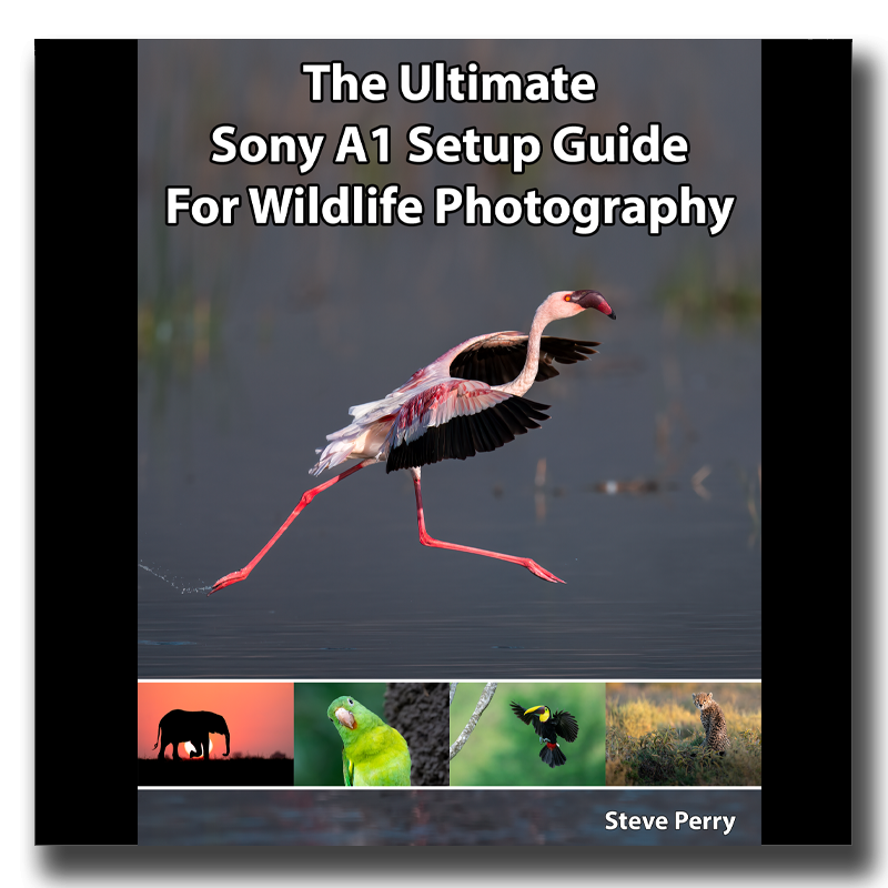 Sony 200-600 with Sony A1 Image Quality — Nature Photography Blog