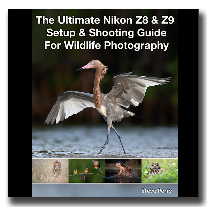 Nikon Z8 User Reference: A Comprehensive Companion for Mastering the  Features and Functions of the Z8 Camera