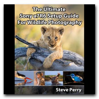 The Ultimate Sony a7R6 Setup Guide For Wildlife Photography by Steve Perry, original cover on a square black background.